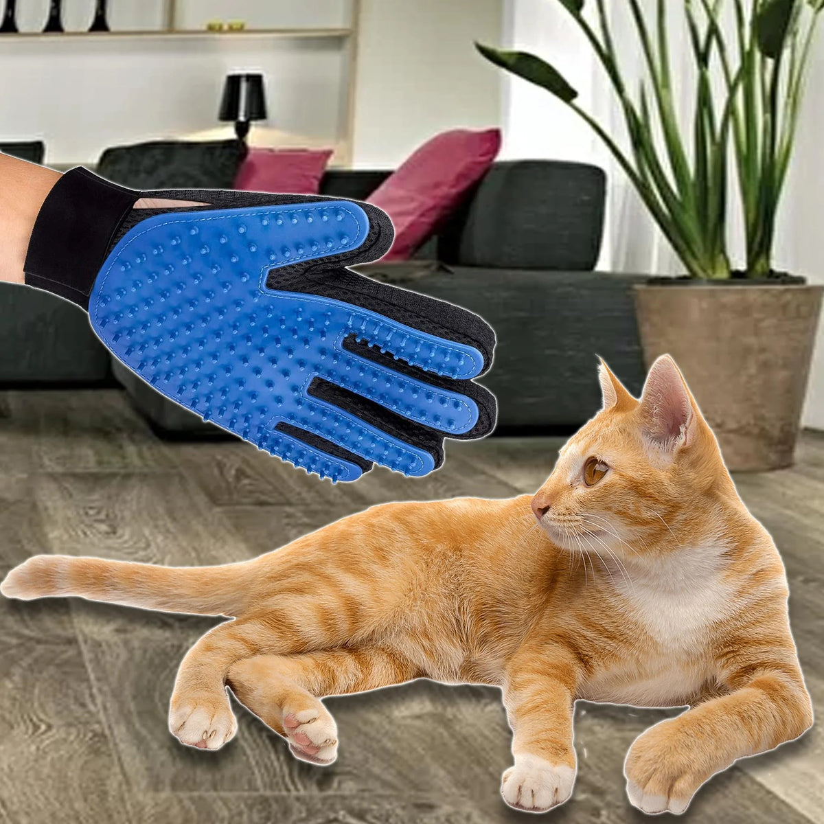 Pet grooming glove with blue silicone surface and black accents, shown on a cat in a living room setting.