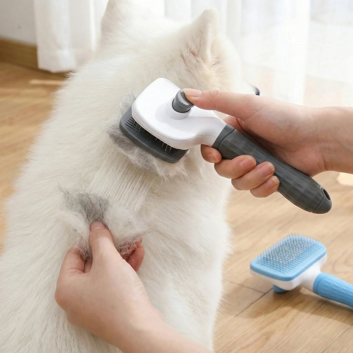 Person grooming a white dog with a pet grooming brush on a wooden floor.