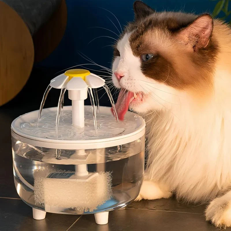 Cat drinking from automatic water fountain