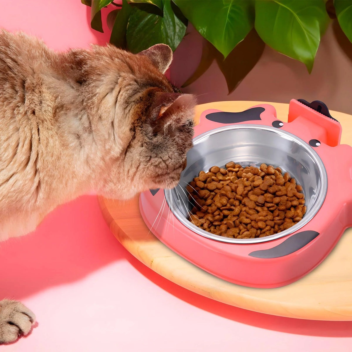 Cat eating from a pink and gray pet bowl filled with kibble on a pink surface.