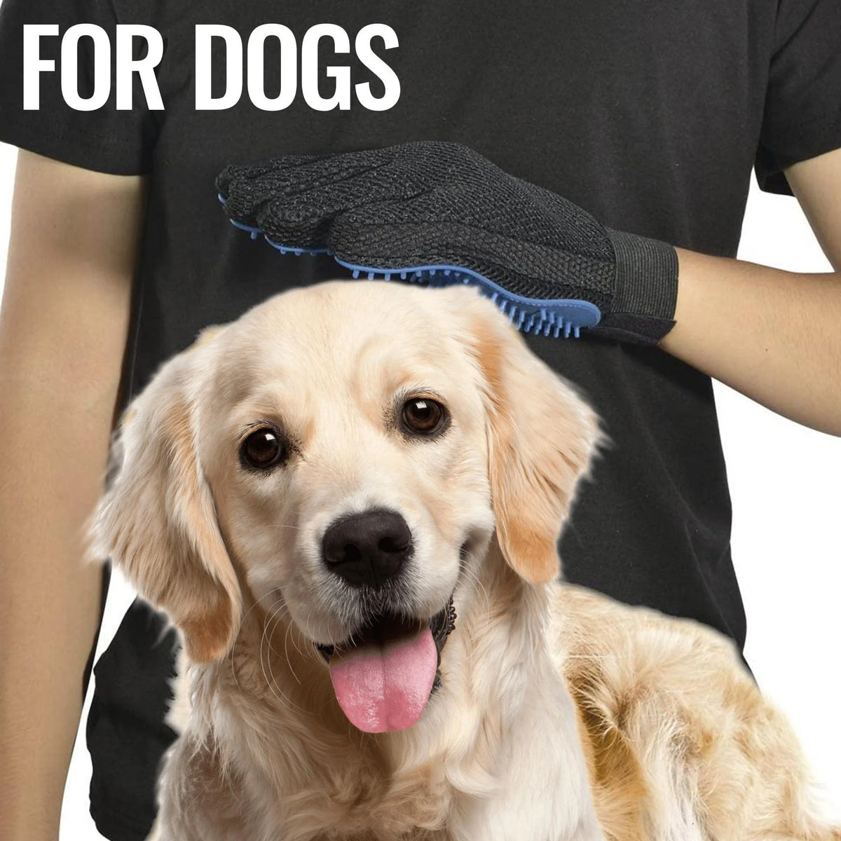 Grooming glove with dog 