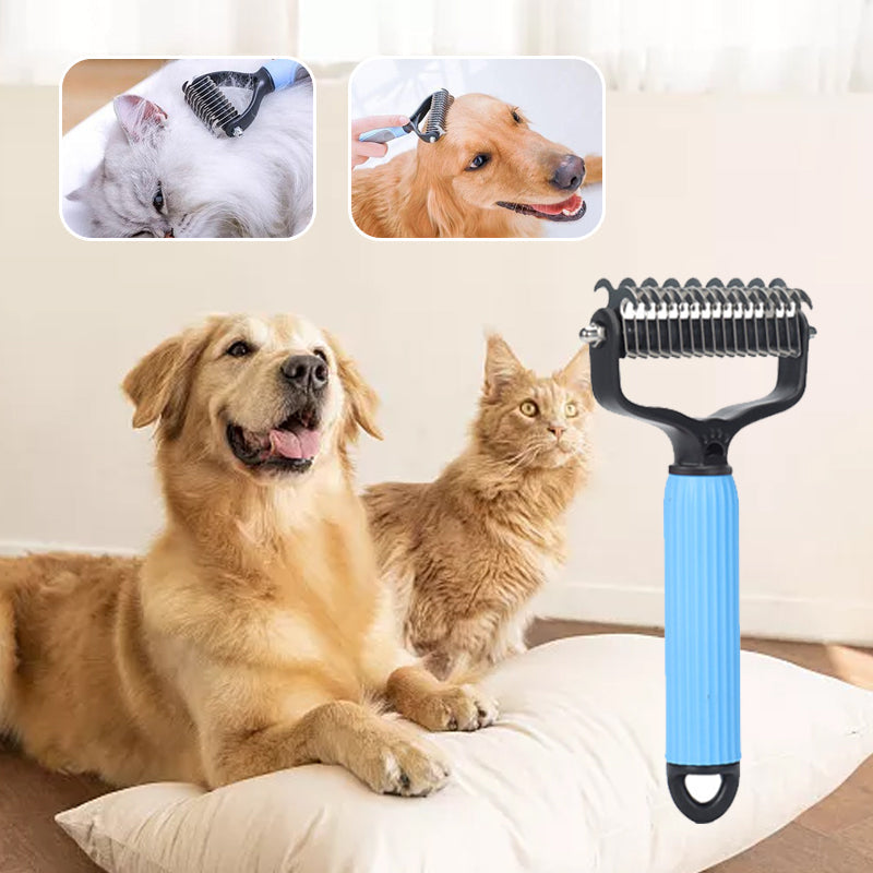 Dog and cat sitting on a couch with a pet grooming brush in front of them.
